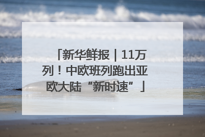 新华鲜报｜11万列！中欧班列跑出亚欧大陆“新时速”